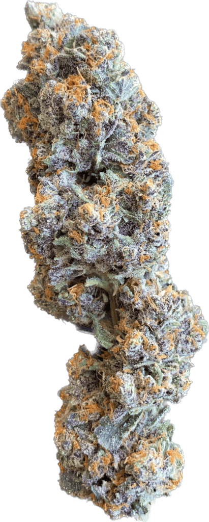 CORA GENETICS Cat Piss