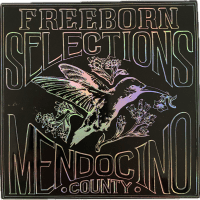 FREEBORN Black with Silver hologram logo Sticker 4x4