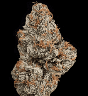 HAPPY DREAMS Cherry Gas - Image 3