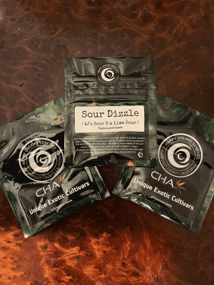HAPPY DREAMS Sour Dizzle (3 FEMINIZED) - Image 2