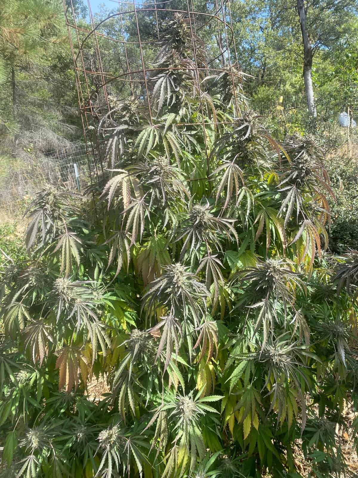 Heartrock Mountain Farm