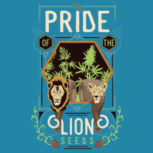 Pride of the Lion Cannabis Seeds