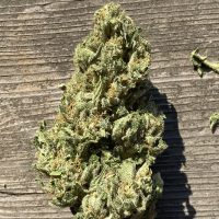 HEARTROCK Tahoe x Chem Fem Auto