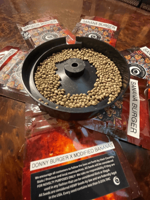 legacy and heirloom cannabis genetics available online