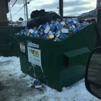 BIOVORTEX Ice cream shop dumpster breeders pack
