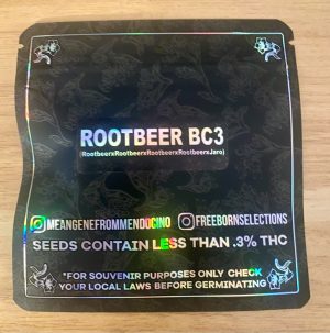 FREEBORN Rootbeer BC3 ( silver sun ) - Image 2