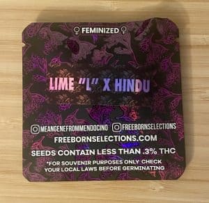 FREEBORN *FEMINIZED* Lime "L" x Hindu - Image 3