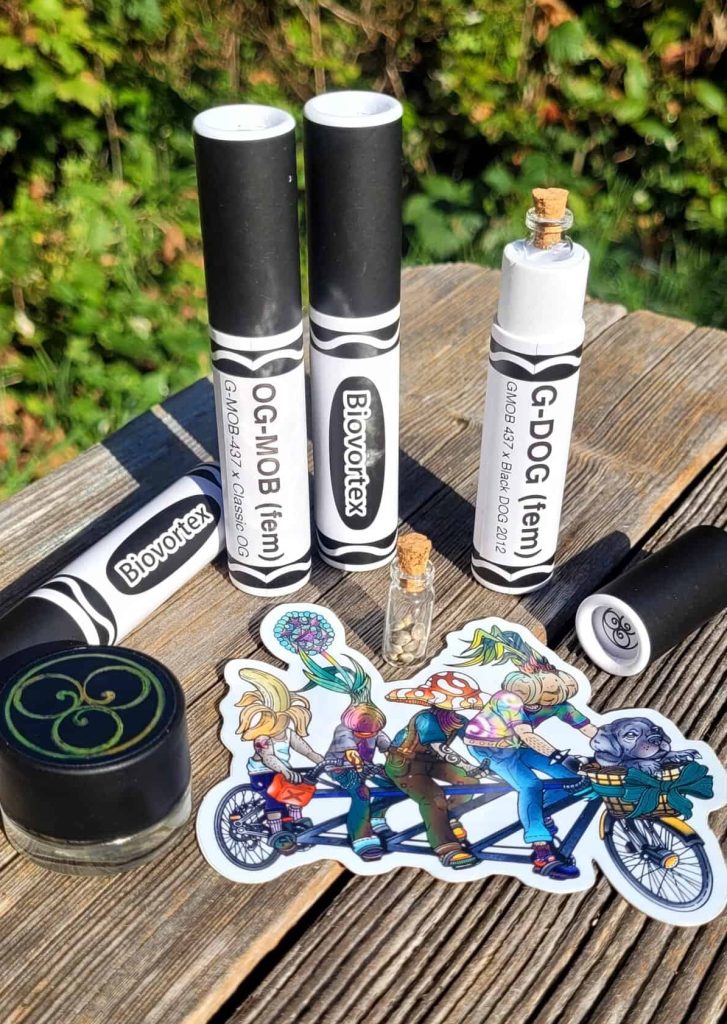 BIOVORTEX G-DOG-437 (FEMINIZED)
