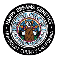 HAPPY DREAMS + HIGHER GROUND  Cherry Starburst