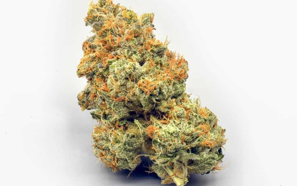 HIGHER GROUND  Orange God