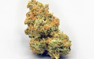 HIGHER GROUND  Orange God