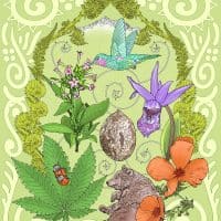 California Silk Scarf print