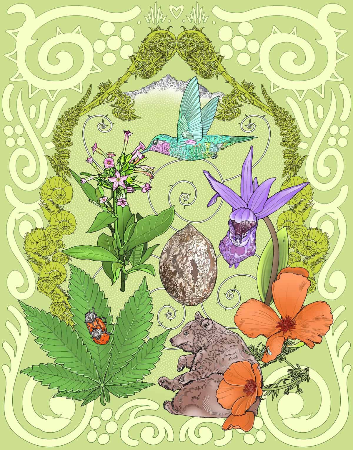 California Silk Scarf print - Image 1